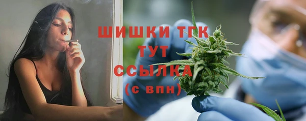 гидропоника Няндома
