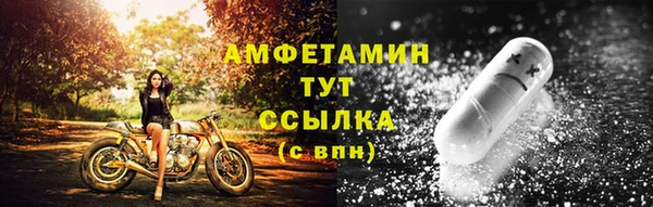 шишки Архангельск