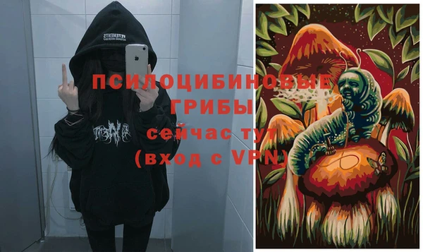 каннабис Новокубанск