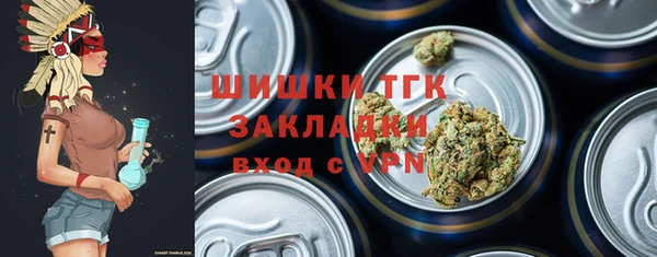 гидропоника Няндома